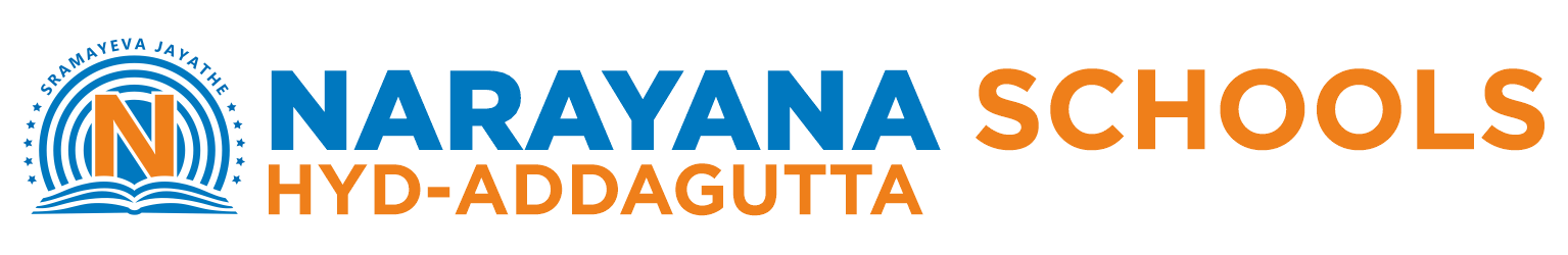 Narayana Logo