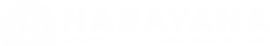 Narayana Schools - ramalingapuram logo