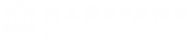 Narayana Schools - ayyapa-nagar logo