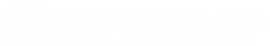 Narayana Schools - guntur-repalle logo