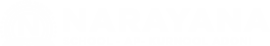 Narayana Schools - kurnool-adoni logo