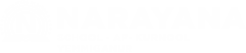 Narayana Schools - kurnool-yemmiganur logo