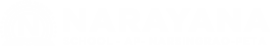Narayana Schools - narsingrao-peta logo