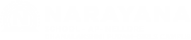Narayana Schools - nellore-dhanalakshmi-puram-girls-campus logo