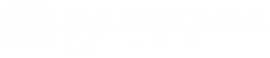Narayana Schools - nellore-kavali logo