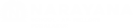 Narayana Schools - nellore-podalakur logo