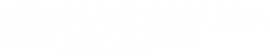 Narayana Schools - ongole-gopal-nagar logo