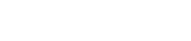 Narayana Schools - prakasham-kandukur logo