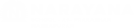 Narayana Schools - prakasham-markapuram logo