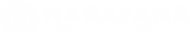 Narayana Schools - rayachoti logo