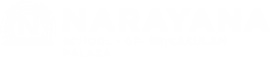 Narayana Schools - srikakulam-palasa logo