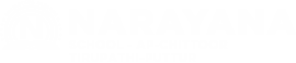 Narayana Schools - chittoor-tirupati-puttur logo