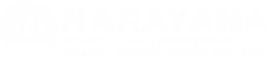 Narayana Schools - vaviletipadu-dhanalakshmi-puram-nellore logo