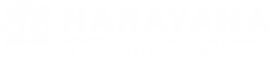 Narayana Schools - visakhapatnam-paradesipalem-v-nem logo