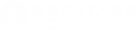 Narayana Schools - vizianagaram-bobilli logo