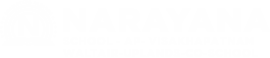 Narayana Schools - vishakapatnam-waltair-uplands-co-school logo