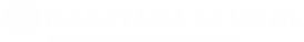 Narayana Schools - bengaluru-nagarbhavi-co-school logo