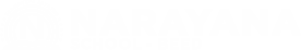 Narayana Schools - beed logo