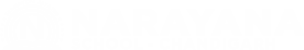Narayana Schools - chandigarh logo