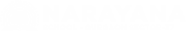 Narayana Schools - gurgaon-sector-37 logo
