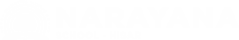 Narayana Schools - hisar logo