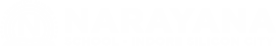 Narayana Schools - indore-silicon-city logo