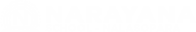 Narayana Schools - nalasopara logo