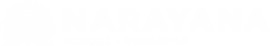 Narayana Schools - faridabad-neharpar logo