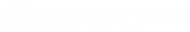 Narayana Schools - gurgaon-palam-vihar logo