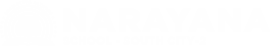 Narayana Schools - gurgaon-south-city-2 logo