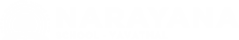 Narayana Schools - yavatmal logo