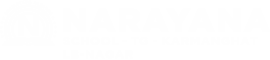 Narayana Schools - karmanghat-lb-nagar logo