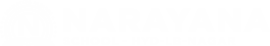 Narayana Schools - hyderabad-lb-nagar logo
