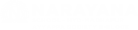 Narayana Schools - hyderabad-madhapur-ayyappa-society-b-block logo